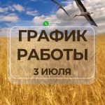 Главная